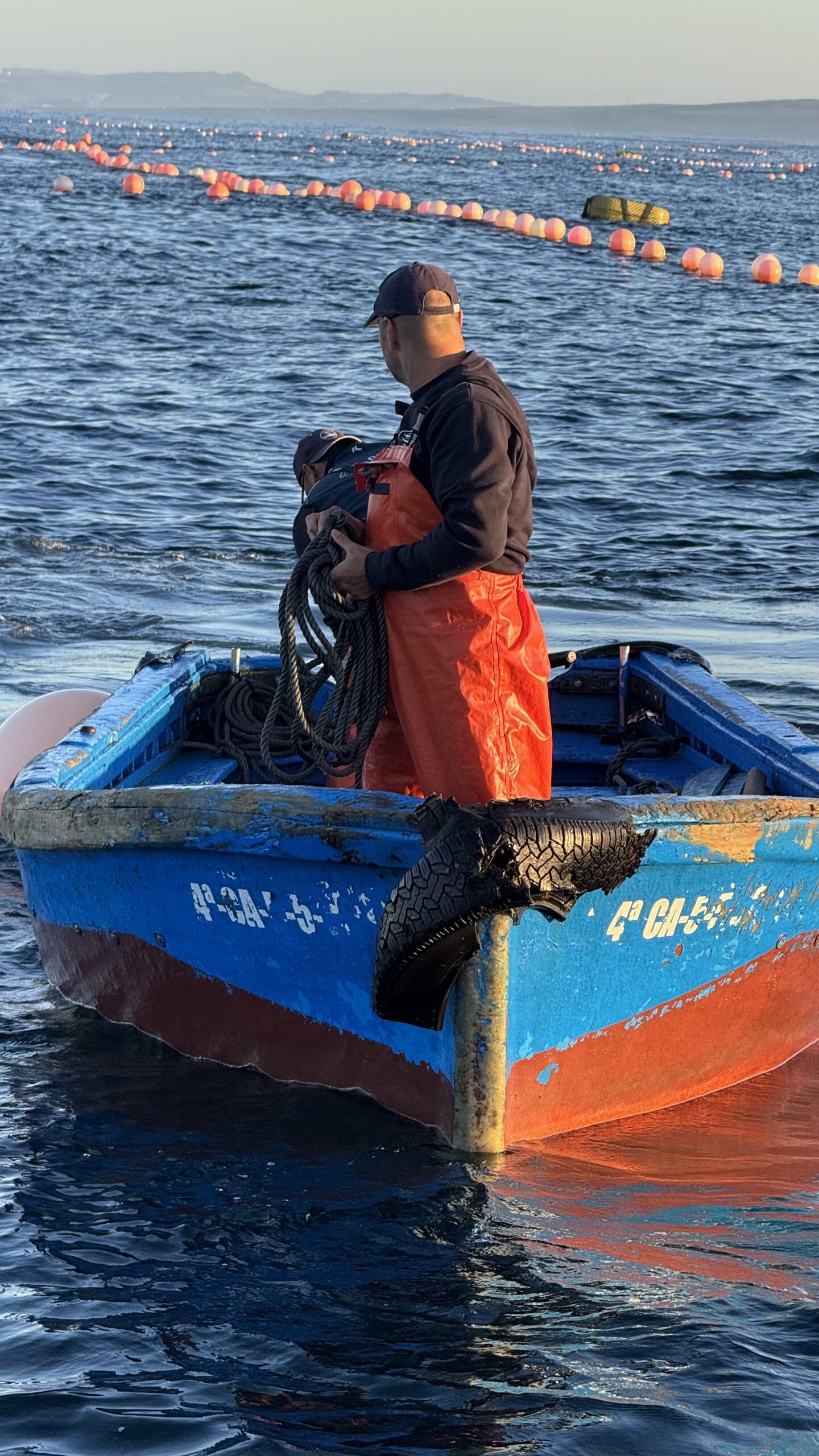 Barca de trabajo en la almadraba con boyas al fondo
